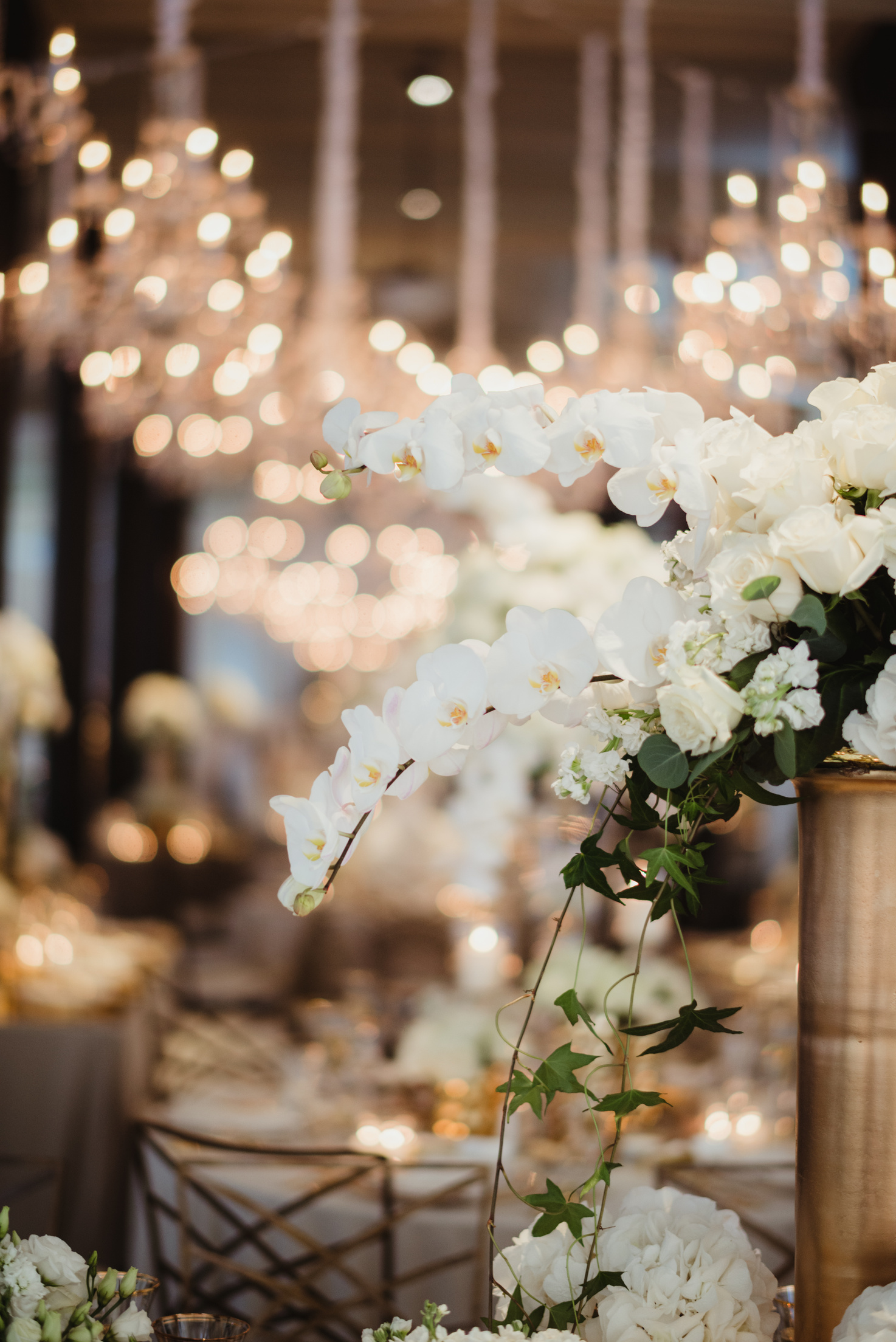 Close up of white orchids at a wedding reception